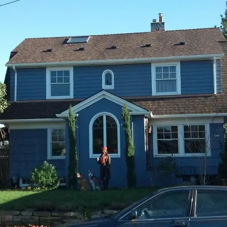 The Doctor'S House-3